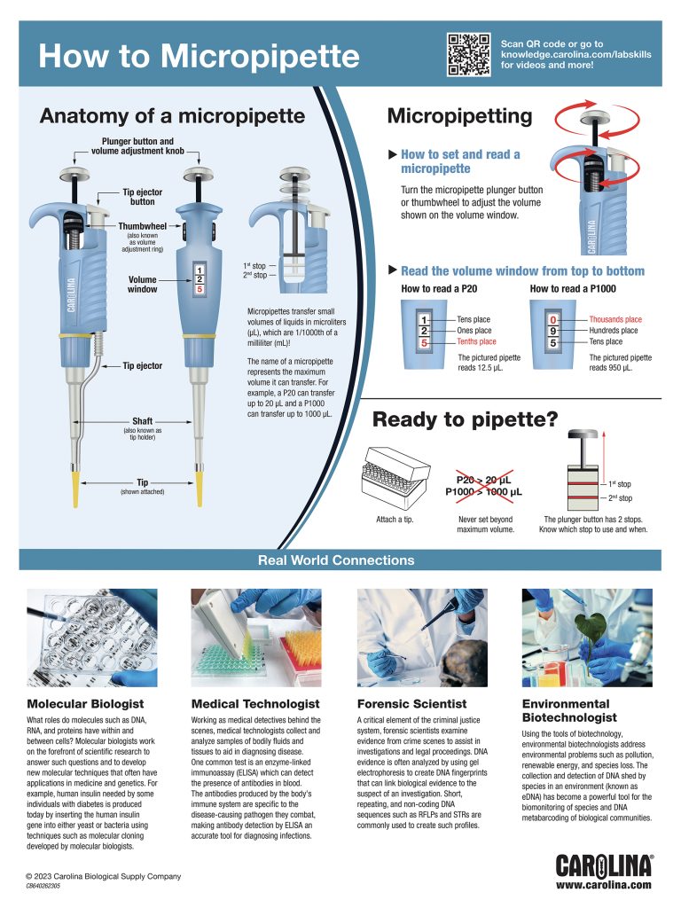 How to Micropipette Poster