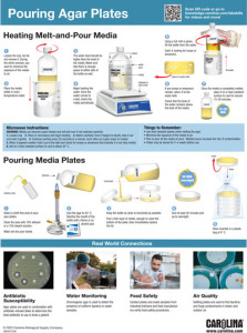 Pouring Agar Plates Poster