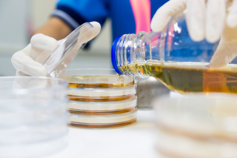 Pouring Agar Plates