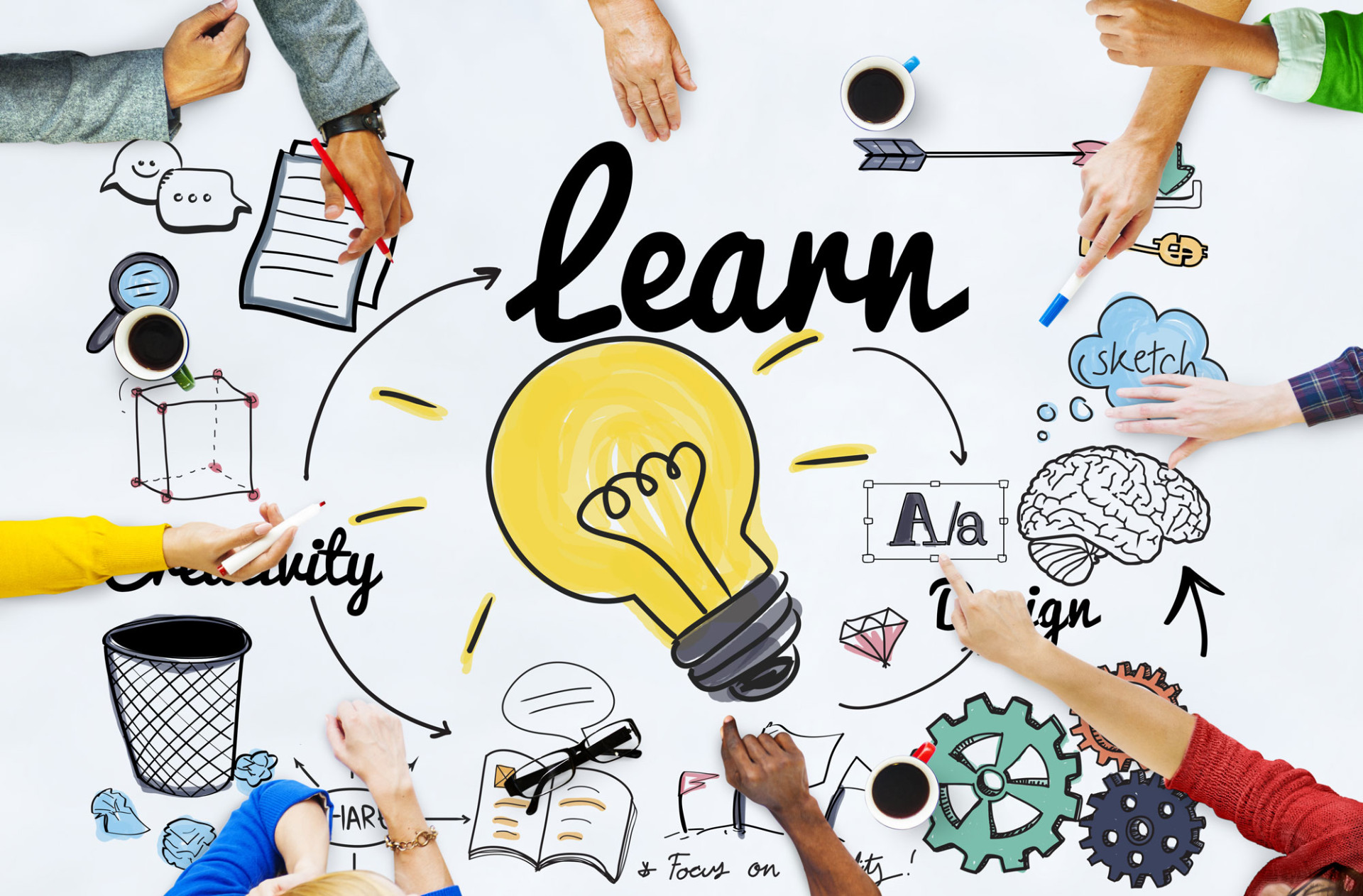Next Generation Science Standards Archives - Carolina Knowledge Center