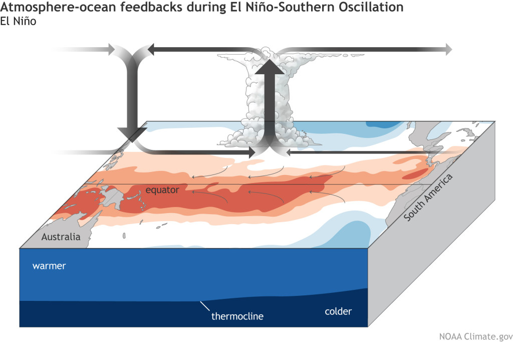 ENSO_blog_Bjerknes-feedback-ElNino_large
