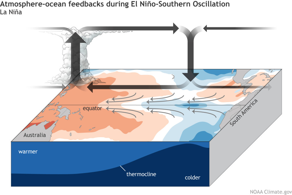 ENSO_blog_Bjerknes-feedback-LaNina_large