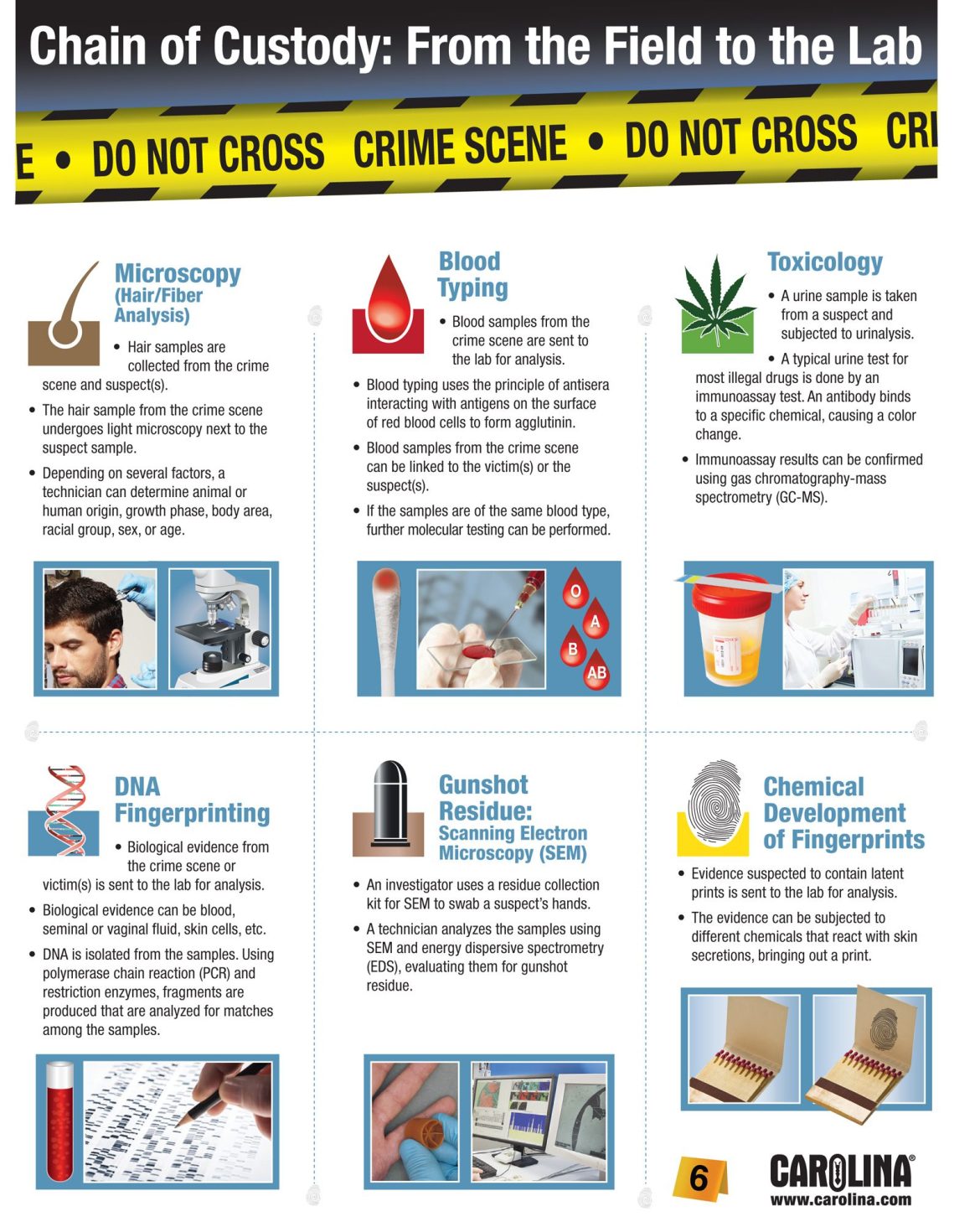 Infographics Library - Carolina Knowledge Center