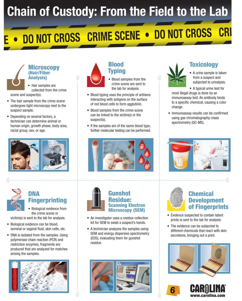 Infographic depicting crime scene collection methods