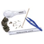 Tools needed for an owl pellet dissection