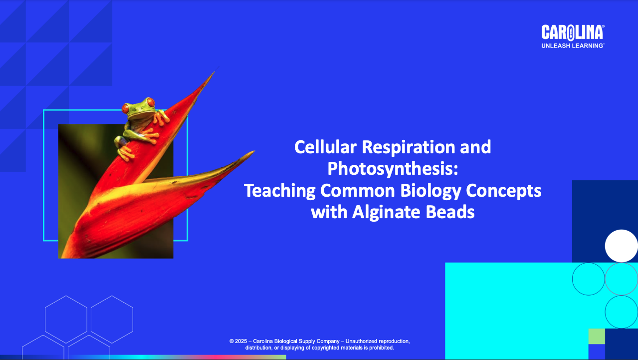 cell-respiration-cover
