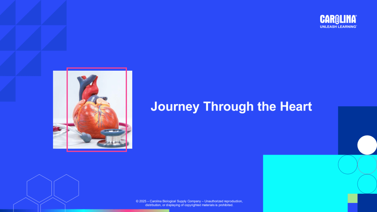 Journey Through The Heart Workshop Presentation