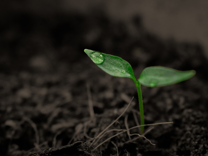 earthsci_800