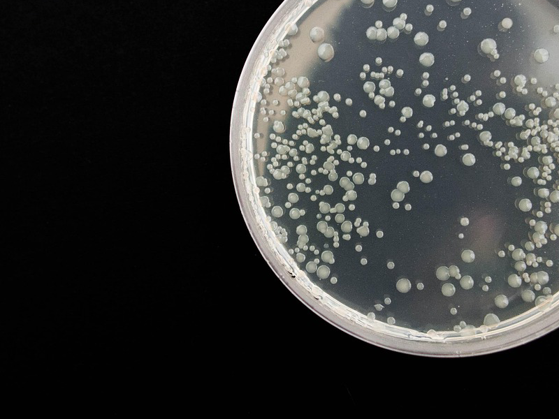 microbiology_800