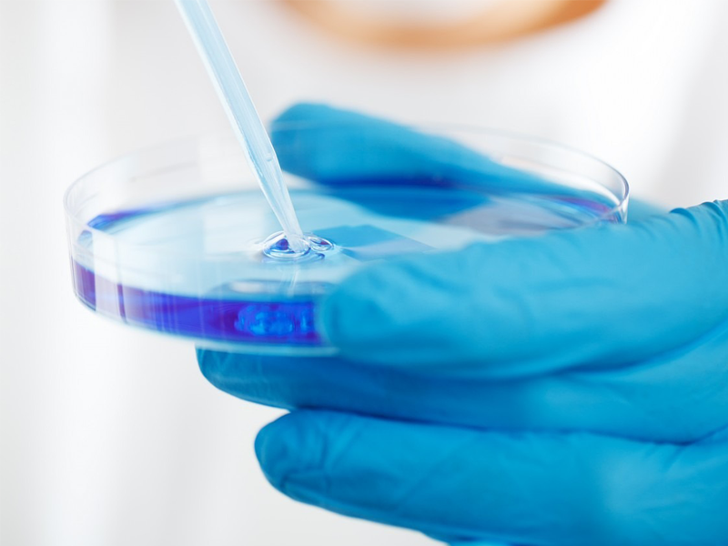 microbiologyguide_800