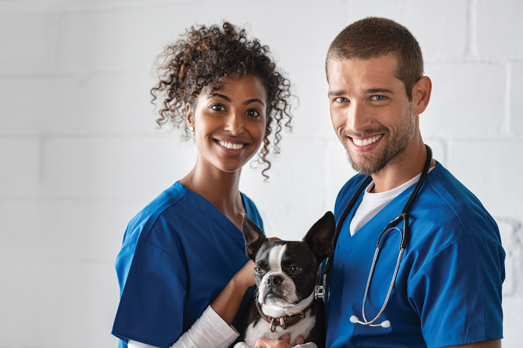 Veterinary Technology Programs