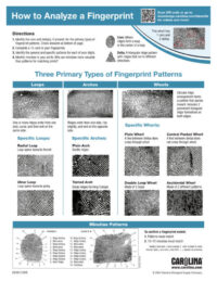 Fingermark Analysis Form Collecting and Analyzing Fingerprints - Carolina Knowledge Center