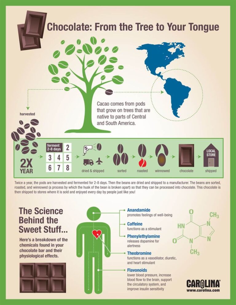 Infographics Library - Carolina Knowledge Center