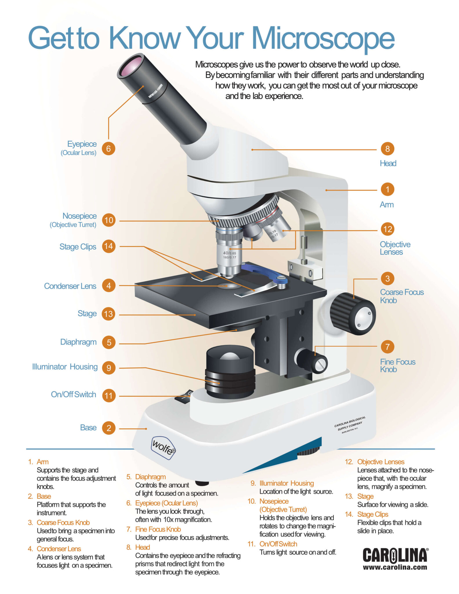 Microscope Concept Infographics Library - Carolina Knowledge Center