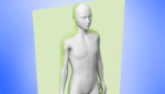 anatomical planes of the human body