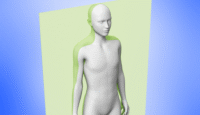anatomical planes of the human body