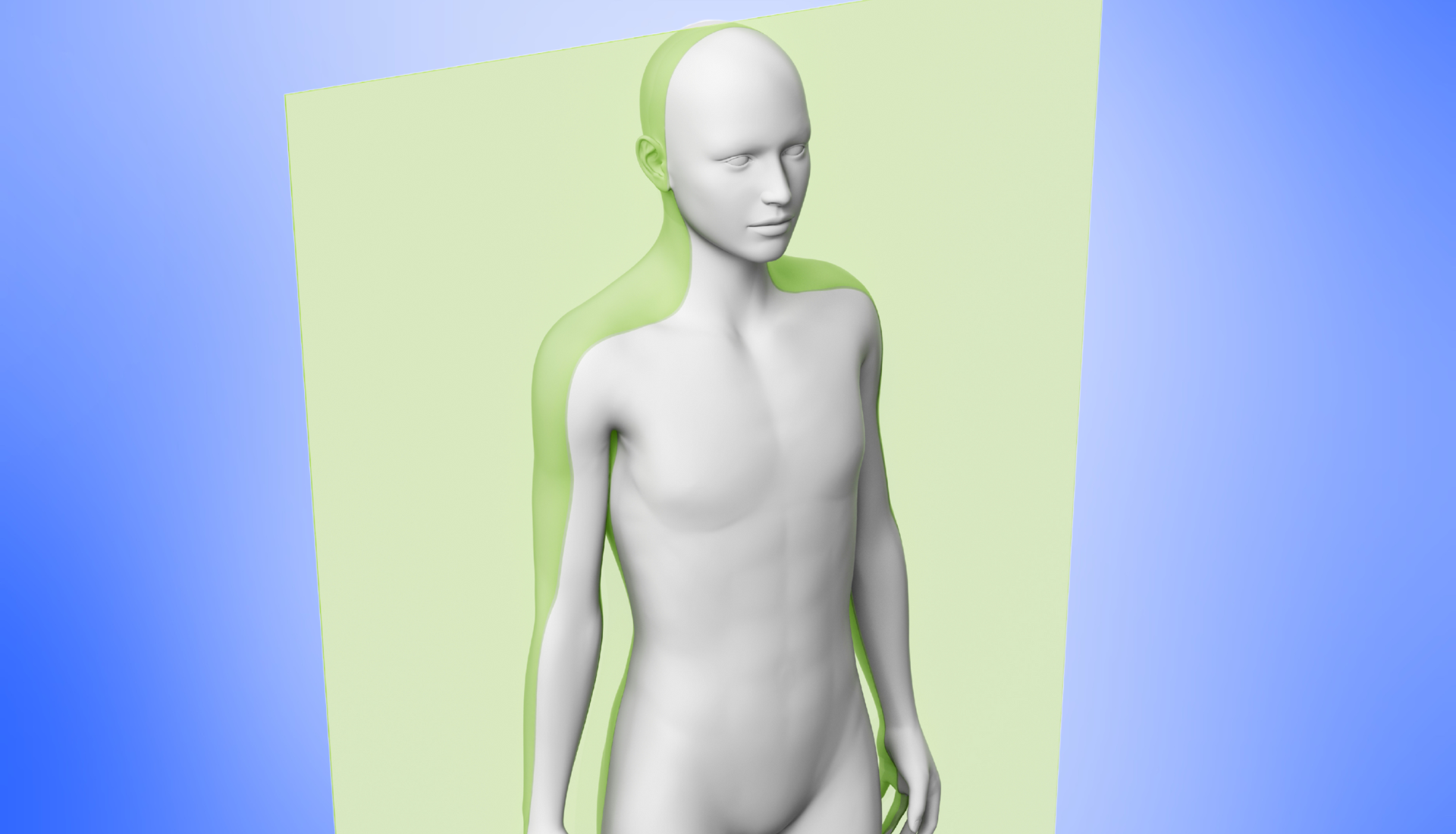 anatomical planes of the human body