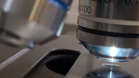 oilimmersion