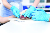 Dissection