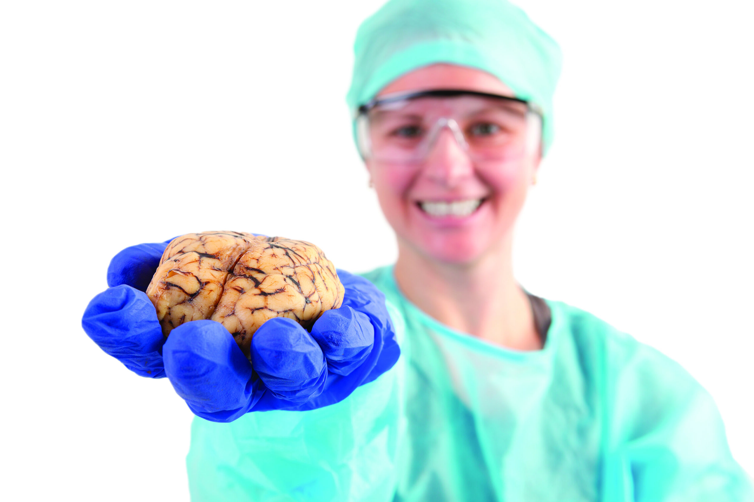 dissection