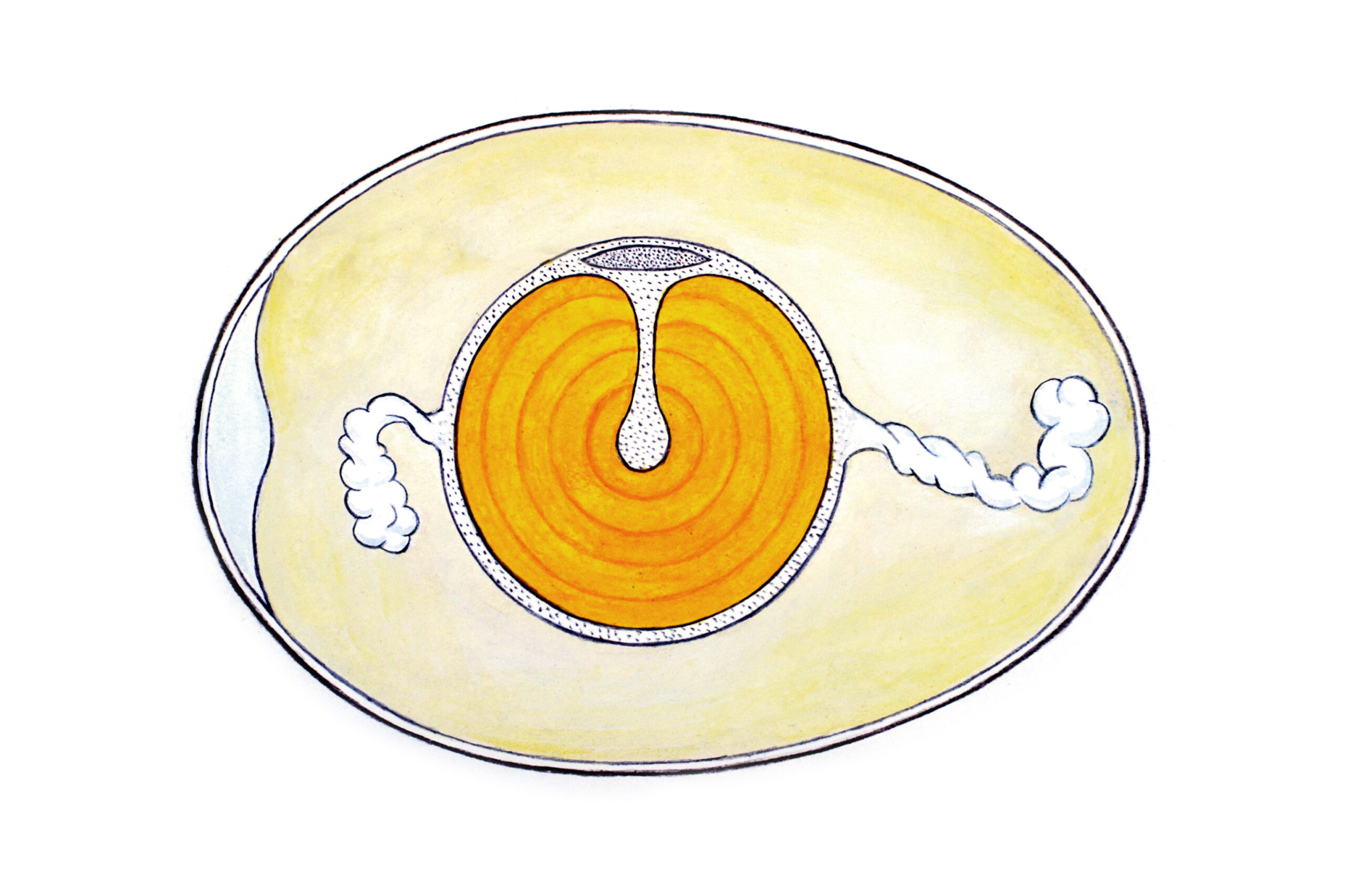FIGURE 3 Diagrammatic section through a fertile egg.]