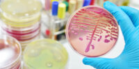 Bacteria and Media Reference Guide