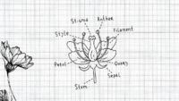 lab drawings hero
