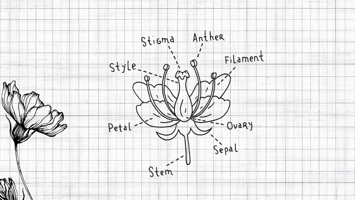 lab drawings hero