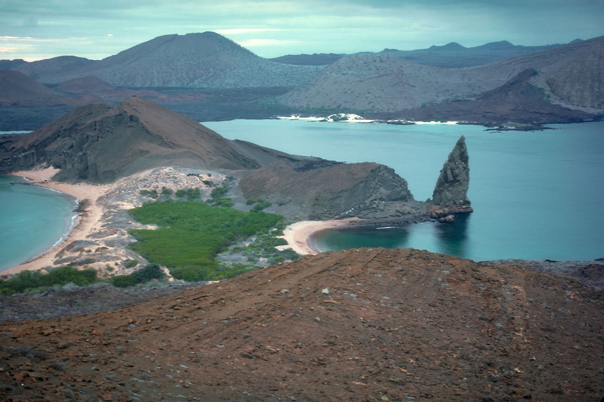 Figure 1 View of Pinnacle Rock and Santiago Island beyond, from the summit of Bartolomé Island. The Galápagos Archipelago consists of 13 major islands, 6 minor islands, 42 named islets, and numerous rocks.