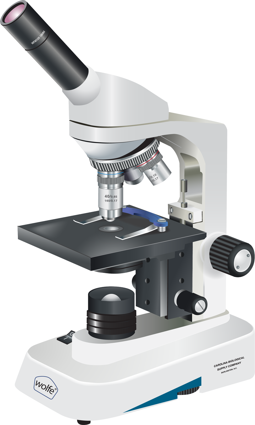 microscope illustration