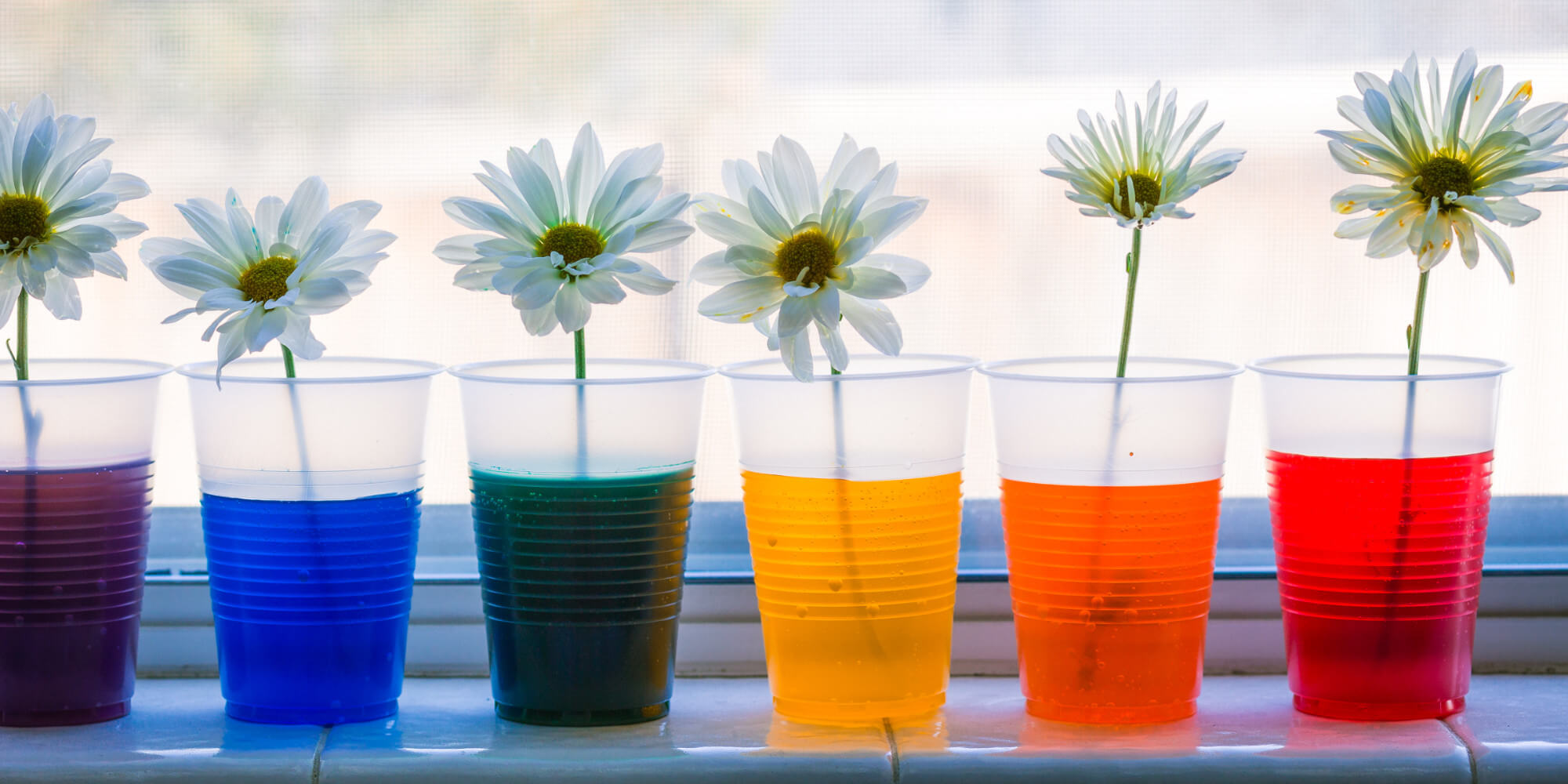 Big Science at a Small Price