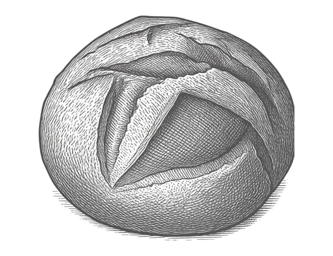 Yeast Featured
