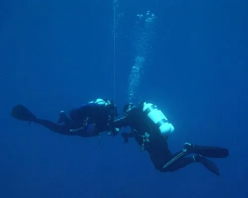 Scuba Divers