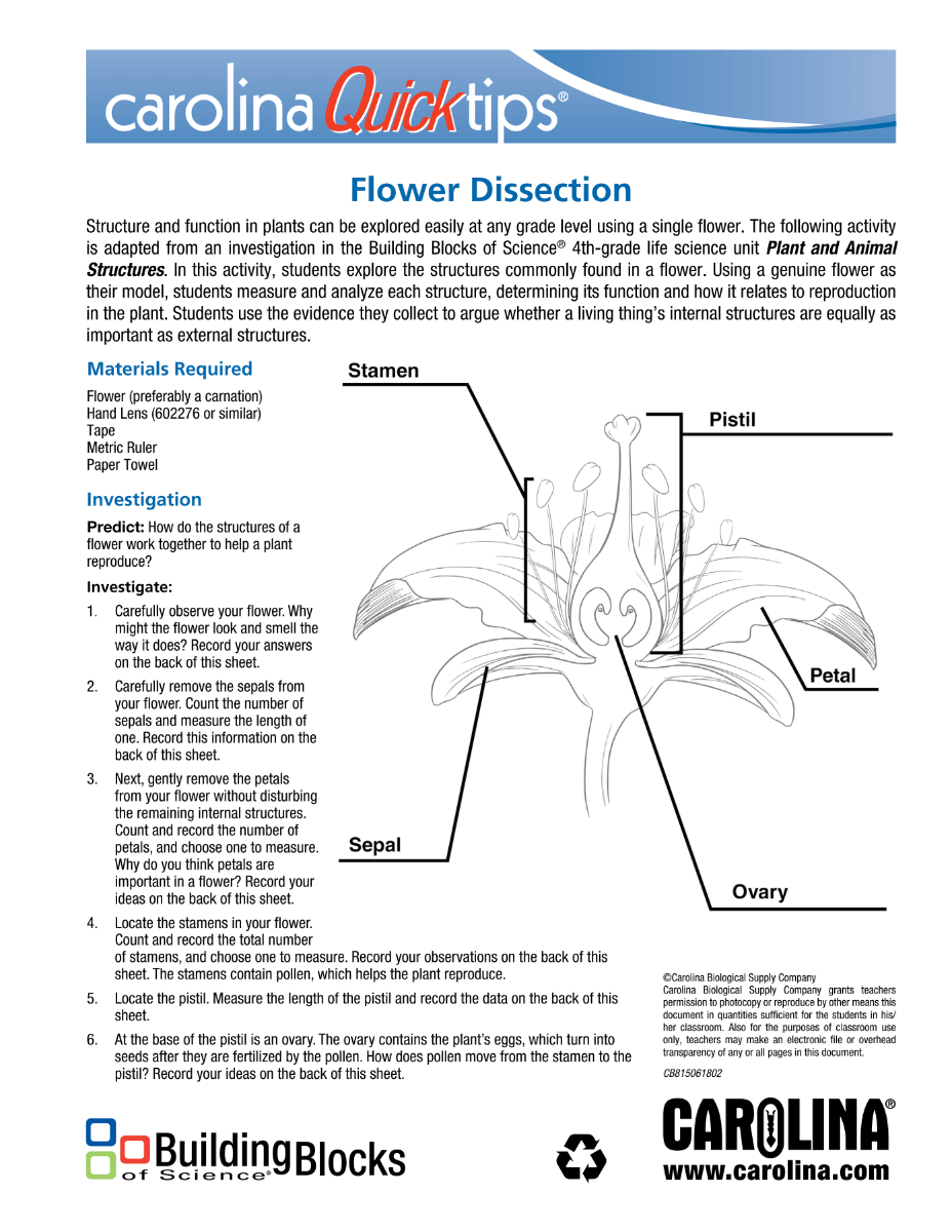 Flower Dissection Handout