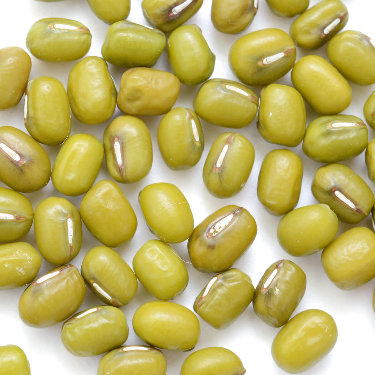 Mung Beans