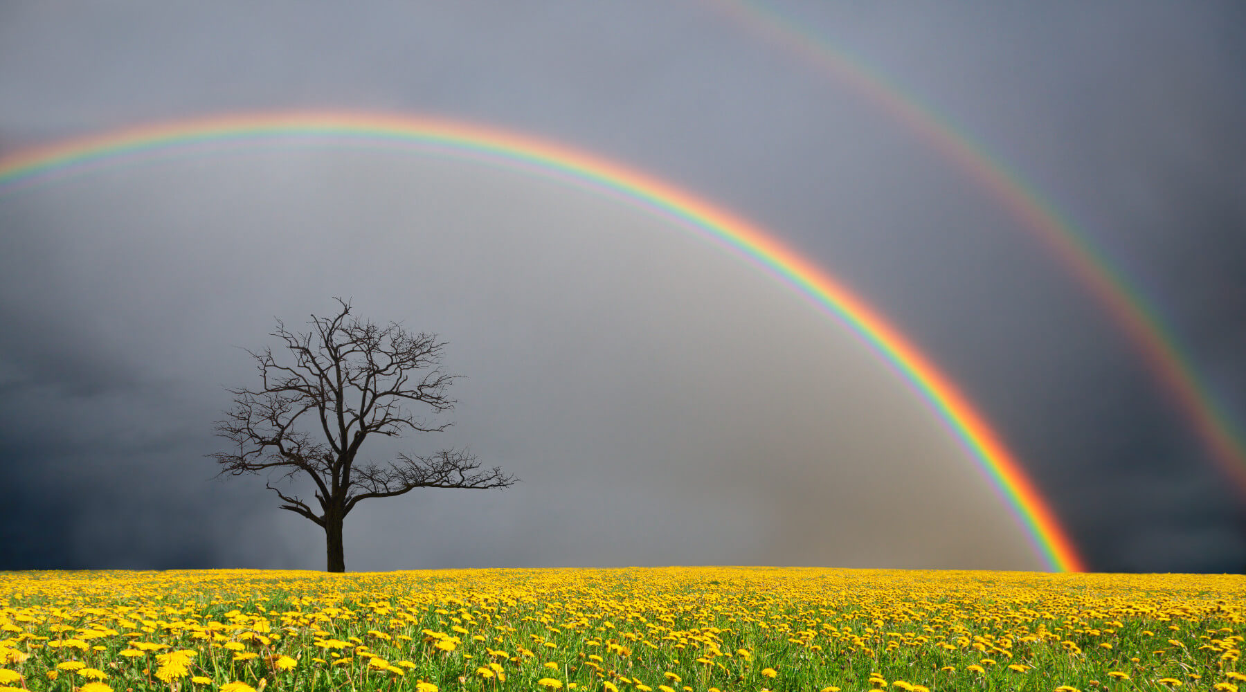 Science of Rainbows