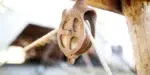 pulley device with rope
