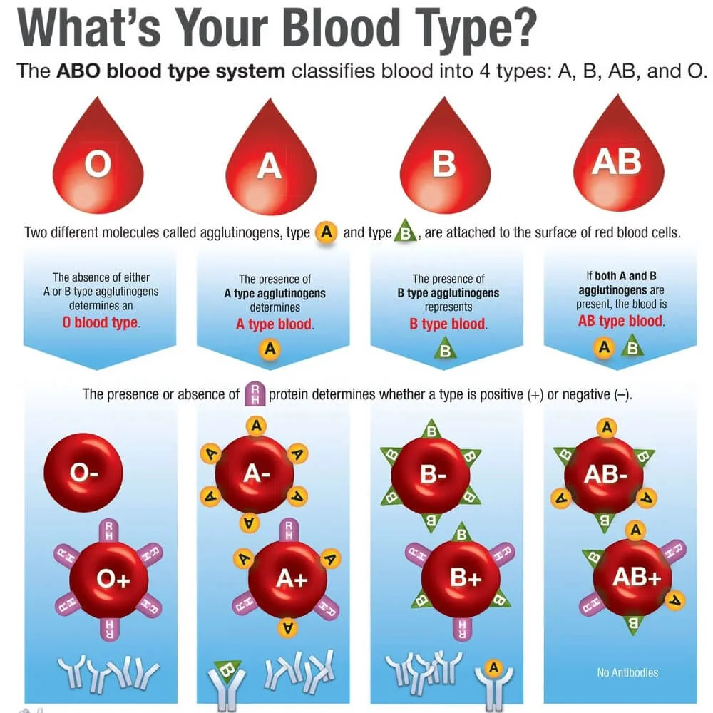 What's your blood type?