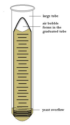 fermentation_tube