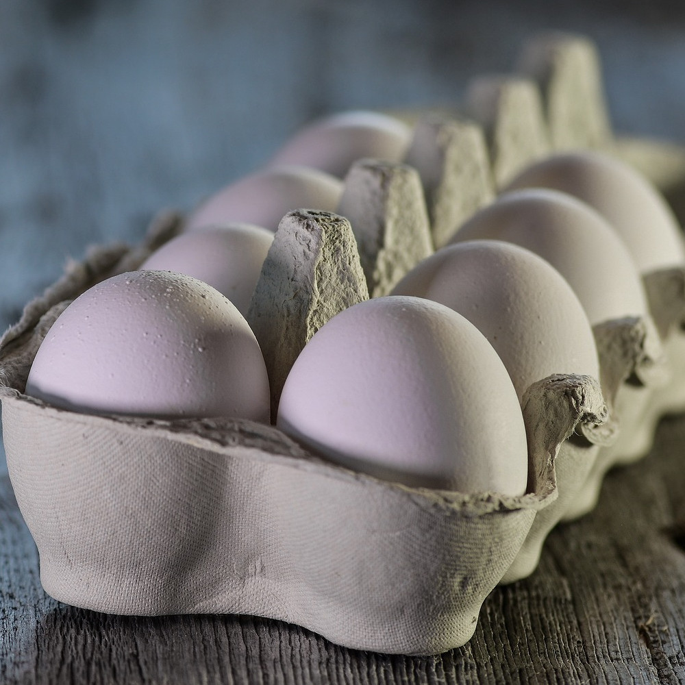 Osmosis Eggsperiment