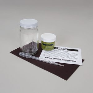 131164 Euglena Phototaxis Kit, Living