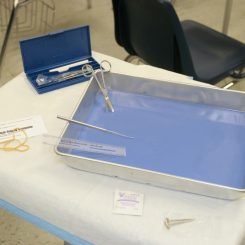 dissection supplies dissection supplies