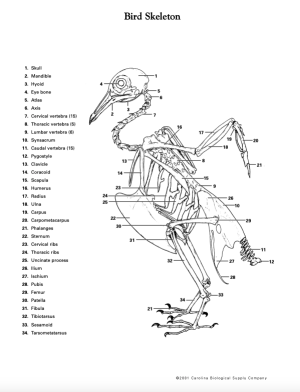 Screenshot 2025-11-17 at 2.33.49?PM